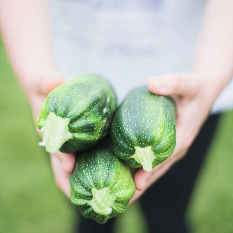 Het resultaat: meer gezondheid, energie, gewichtsverlies en minder medicatie.